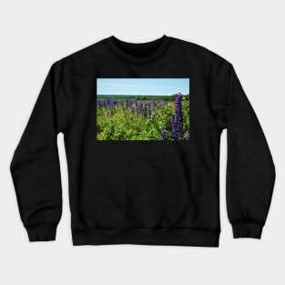 Wild Lupins Crewneck Sweatshirt